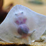 ���� ��� ����� ��� ����� ��� ���� ���...