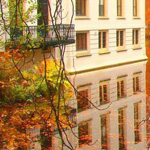 ��� ������� �� ������ !! ���� ���� ��...