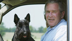 ��� ��� ��� ���� ��� ���� ��� ����� 11 ������!