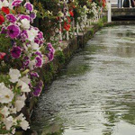 �������� ���� ���ѡ �����