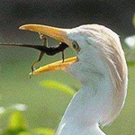 �� ������ ����� ���� ���� ��� �� ���� �� ���� ������