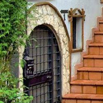 ���� ������� ��������