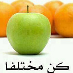 �� ������