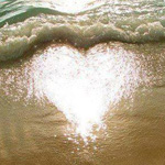 ���� ���� �������