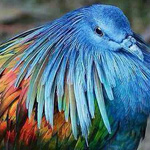 ����� ��������� 