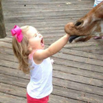 ��� ����