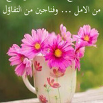 ���� �����