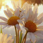 ���� ���� ���� ���� ������