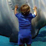 ���� ���� ���� ���� �������