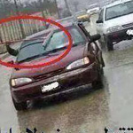 ���� ���� ����� �������