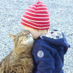 ������ �������