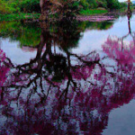 ���� ���� ����� ��� ���� ���