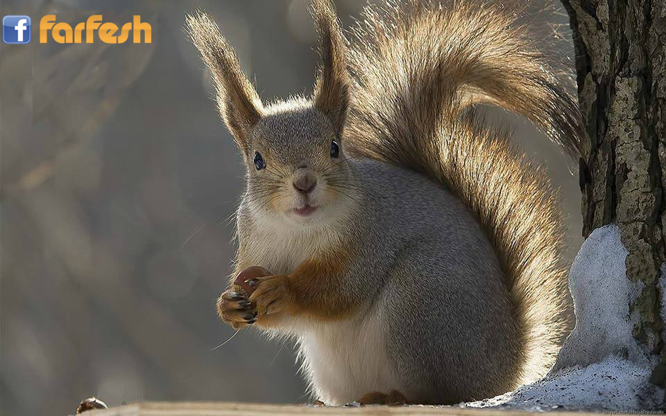 ���� ������ ���� �� ���� ..