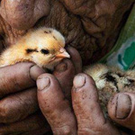 ��� ���� ���� ��������� � ������ 