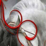 ��� ����� ����� ���