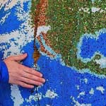 ���� ���� ������� �� ����� �������