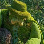 ����� ���� �����