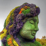 ���� ����� ������� ����� ������� ������ 