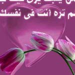 �� ���� ��� �� ��� ������ �� ��� ��� �� ����