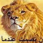 ��� ��� �����