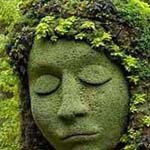 ������� ������ ������ �� �������� �������