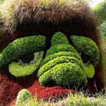 ���� �� ������ �������