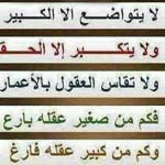 ���� ���� 100 %