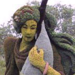 ���� �����