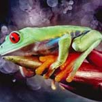 �� ������