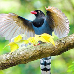 ���� �����  :-)