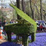 ���� ���� �� ����