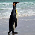 ���� ���� ������ ������ ������ ����� 