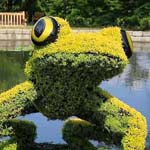 ����� ���� ���� �� ���� ��������