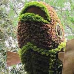 ����� ���� �����