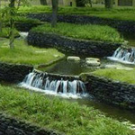 ���� ����� ��������� �������