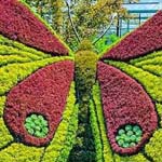 ������� ������ ������ �� ������