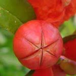 �� ������ �� ���� ..��� ������