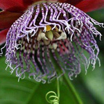 ���� ����������