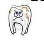 ���� ����� �� ����