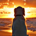 ���� ���� �� ��� ������