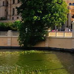 ���� �����