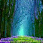 ���� ����