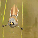 ���� ����� ����� ���� ������ ������ ������