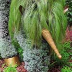 ����� ������� ������� �����