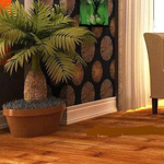 ����� ������ ����