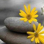 �� ������ �� ����� ����� �����