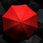 ��� ����� �� ���� ���� �� �� ����