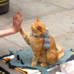 ��� �� ���