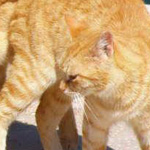 ������ �������� �� ������ ��������!