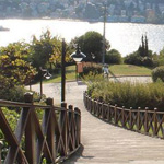 ���� �������� �������������